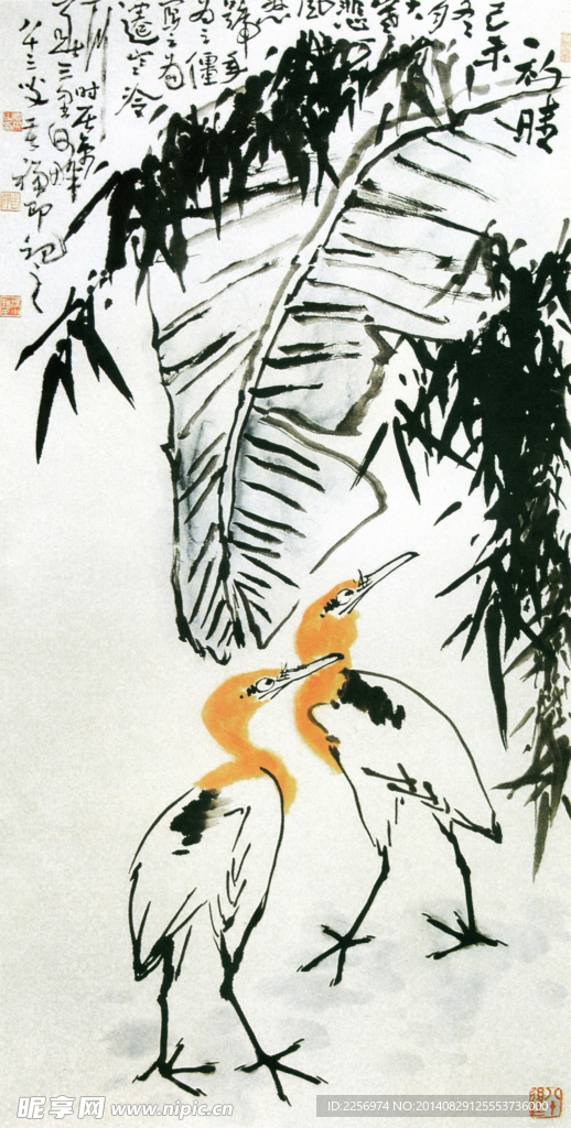 花鸟彩墨画