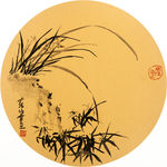 兰花