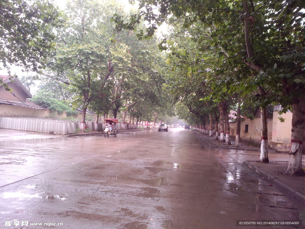 树林马路