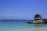 大海