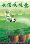 安溪铁观音茶