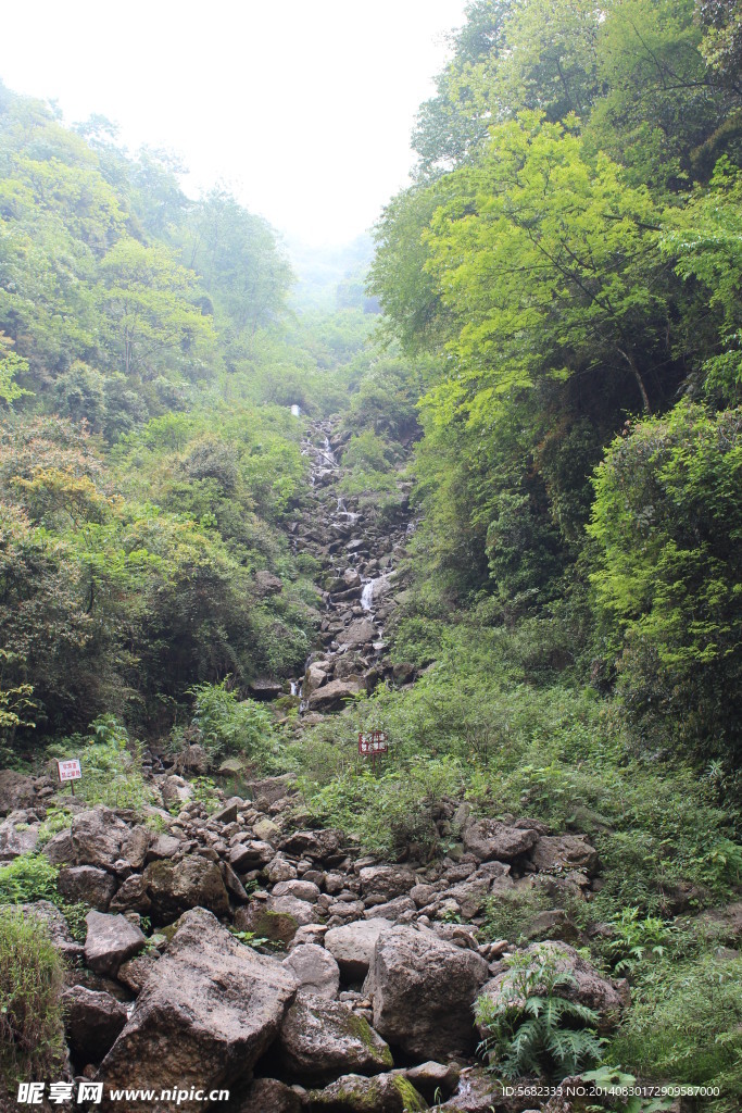 悠悠山谷