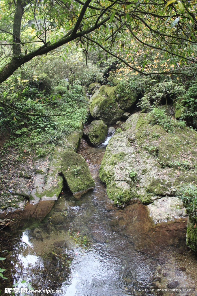 山谷小溪