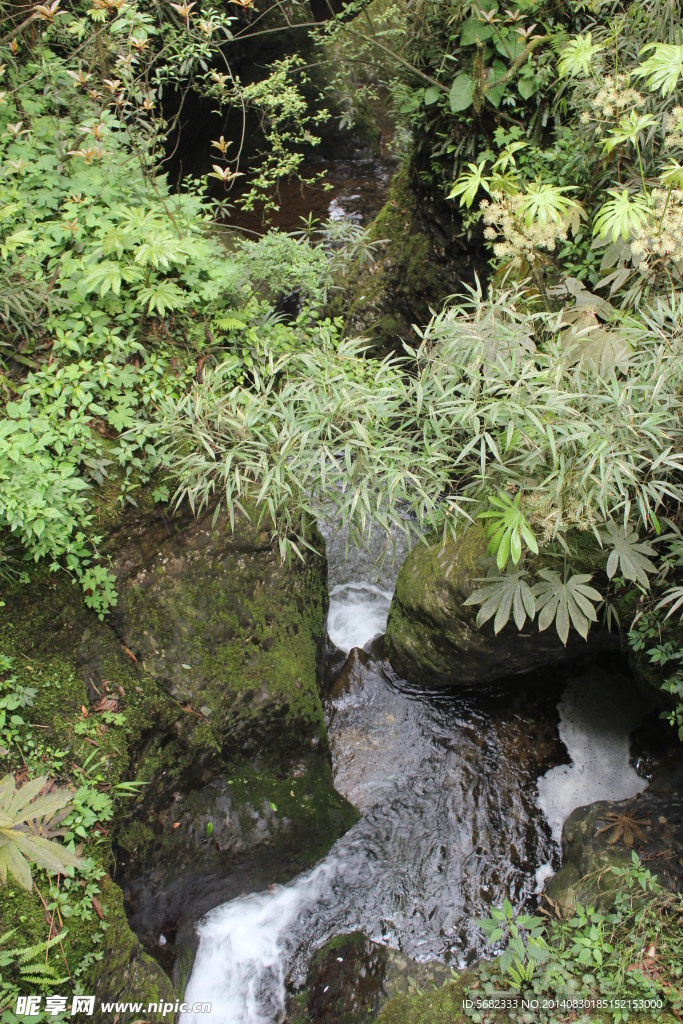 青城后山