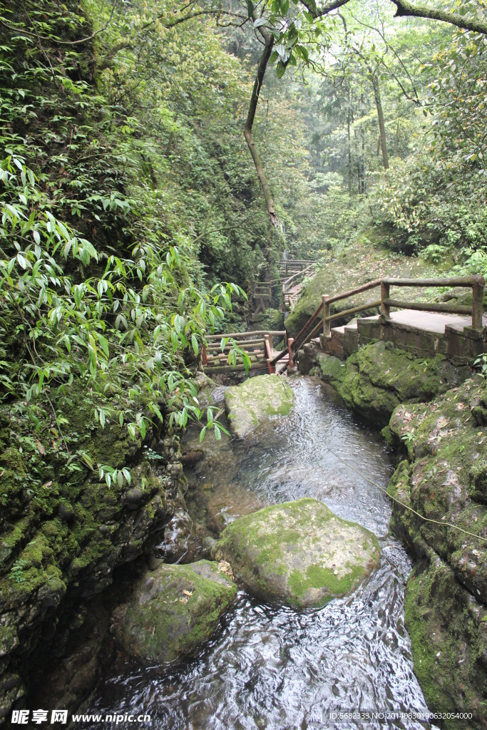 四川细流