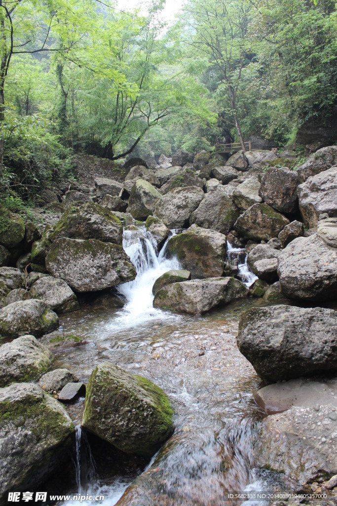 山谷小溪