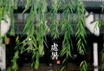 24节气处暑