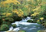 山水甲天下