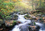高山溪流
