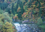 山泉溪水