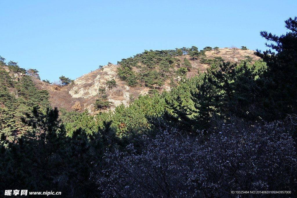 还是那座山