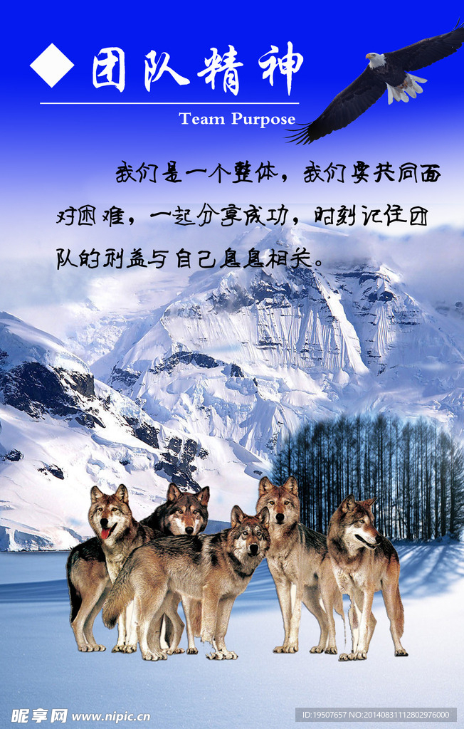 团队精神