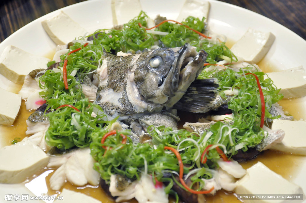 麒麟斑魚