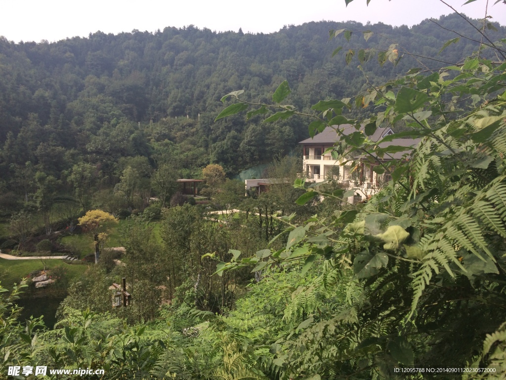 自然风景