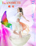 美丽蝶变