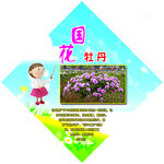 幼儿园牡丹