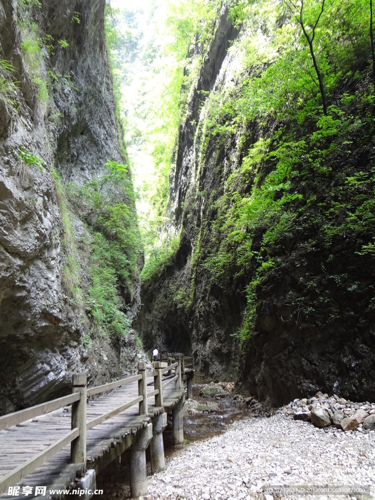 金丝大峡谷