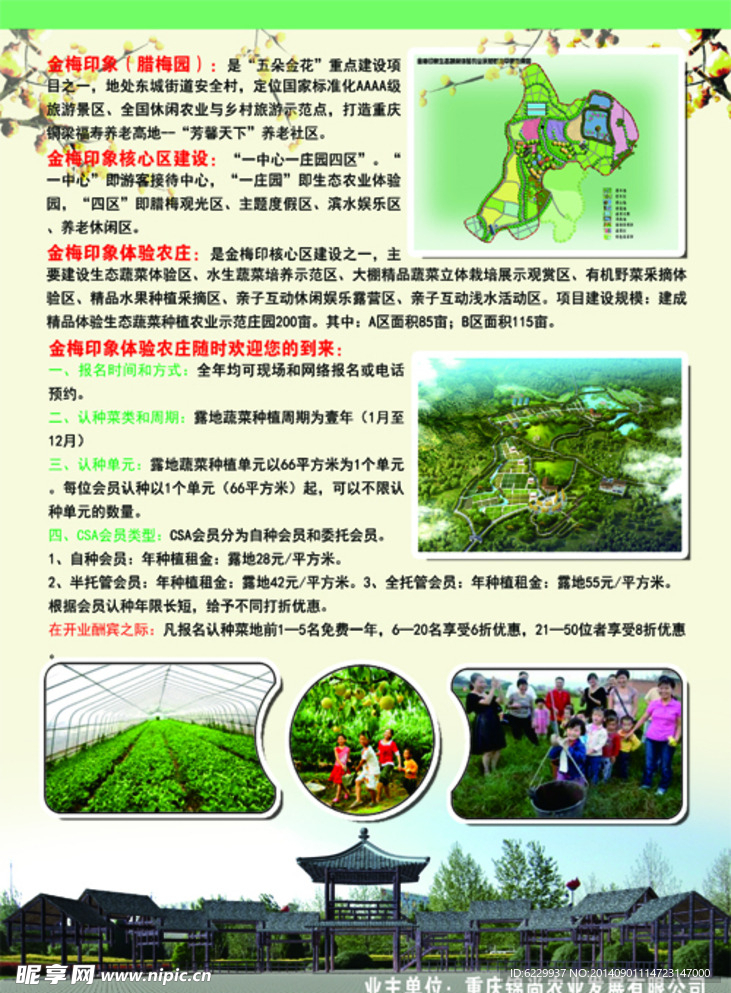 腊梅园 旅游景区 宣传