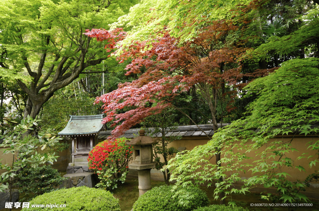 日式花园公园