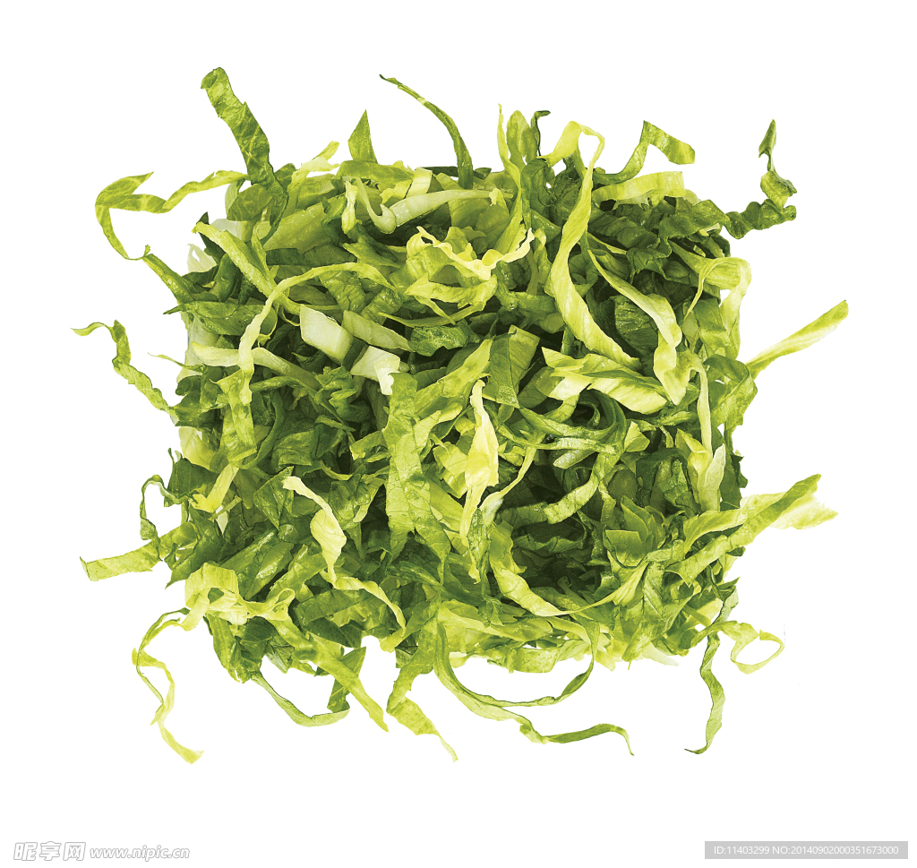 新鲜生菜丝