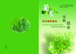 葡萄折页