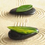 石头树叶水