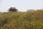 城
