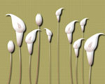 3D马蹄莲