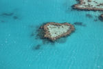 澳洲大堡礁心形礁石