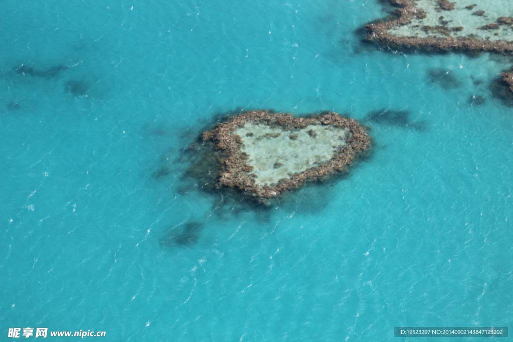 澳洲大堡礁心形礁石