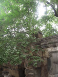 园林风景
