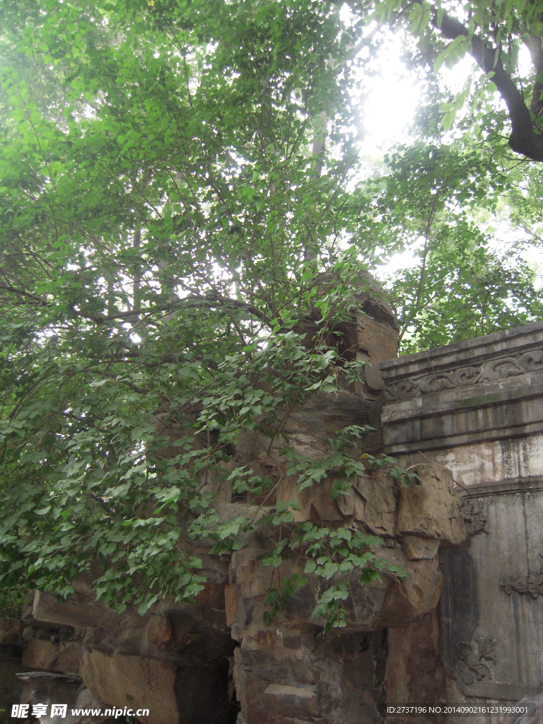 园林风景