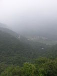 绿色风景