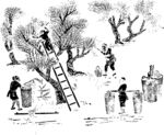 独家制作中国传统拓印