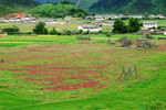 香格里拉美景