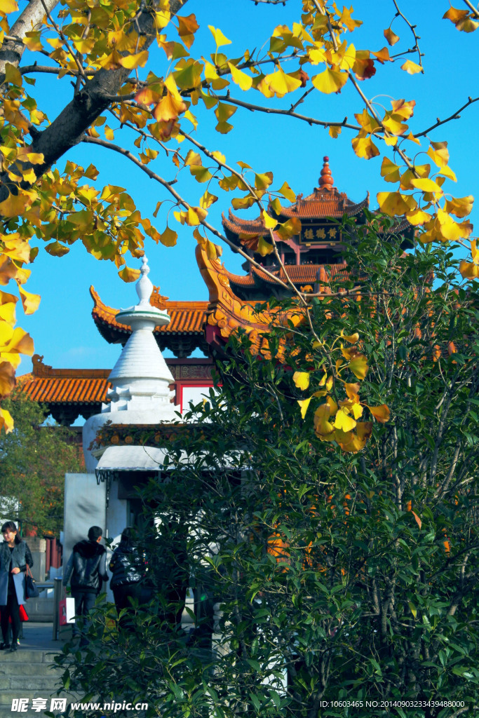 黄鹤楼风景