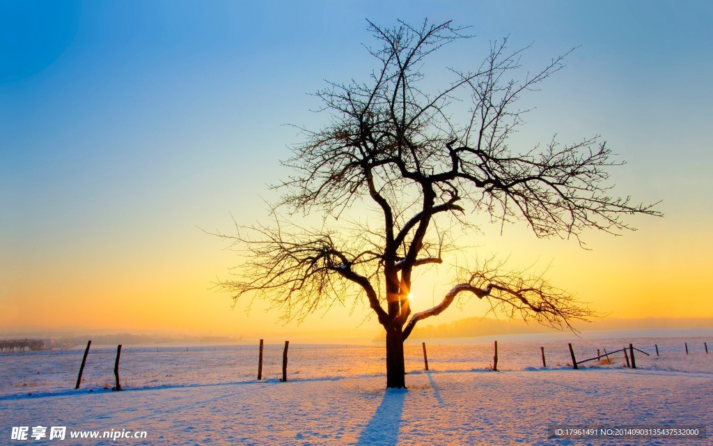 夕阳雪景