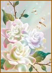 茉莉花