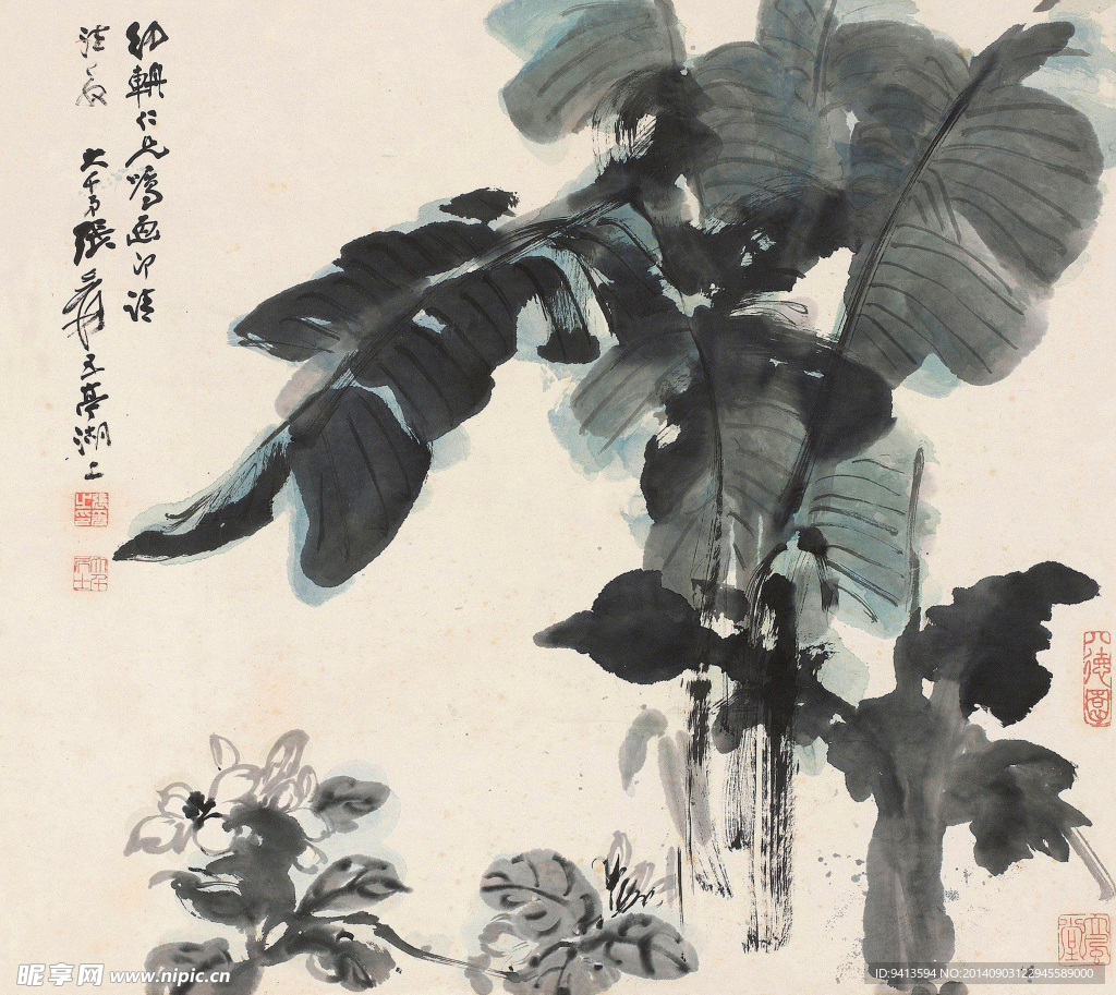 绿了芭蕉