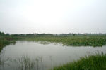 洪泽湖