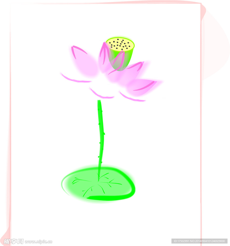 荷花