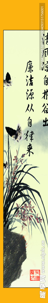 君子兰