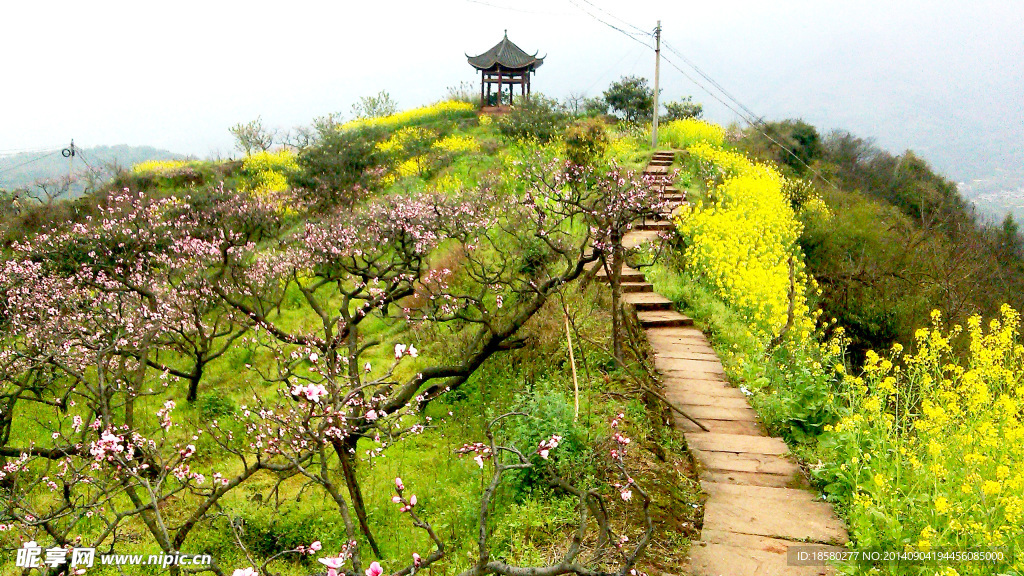 桃花山