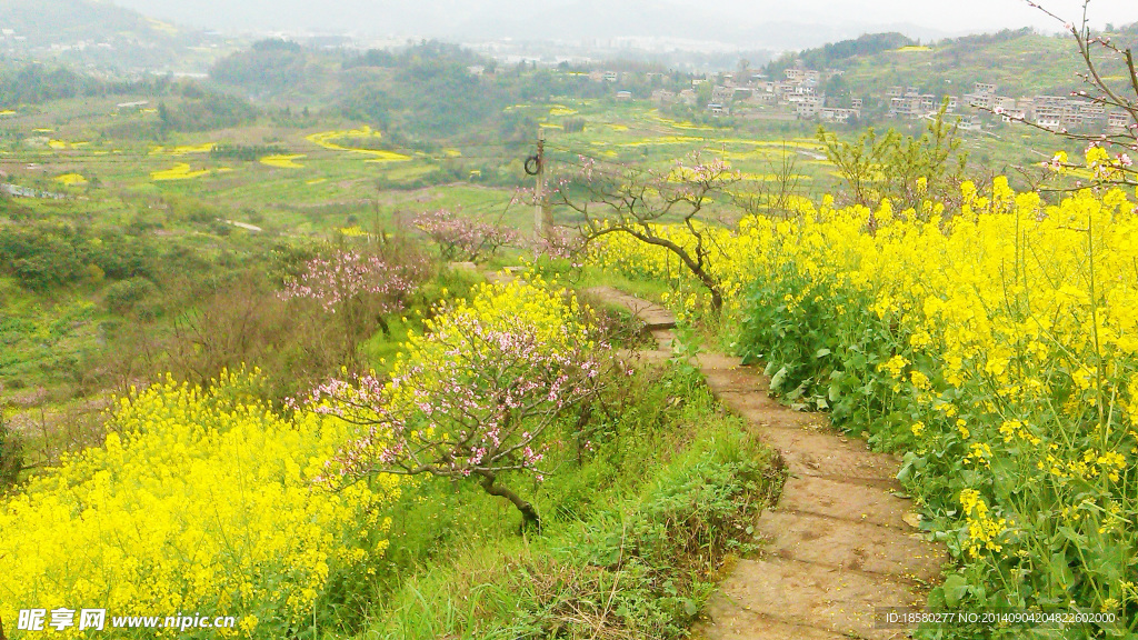 桃花山