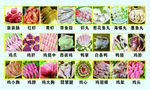冷鲜肉名片