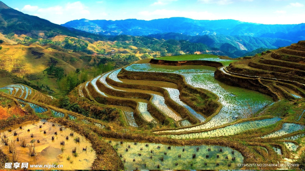 梯田