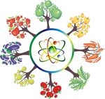 水果蔬菜树矢量素材