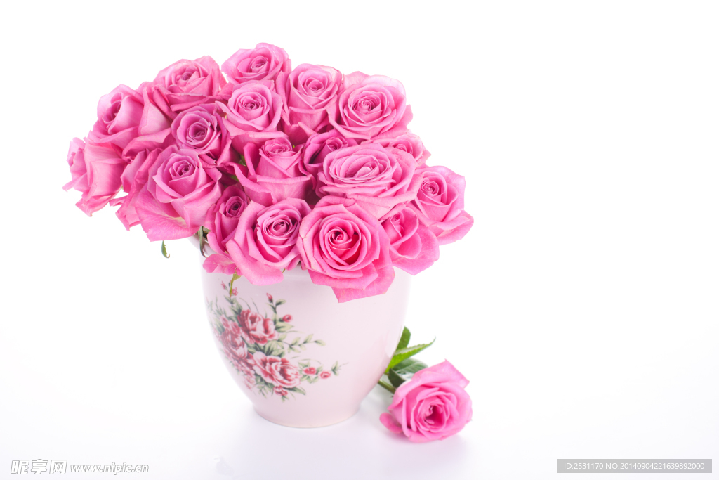 玫瑰花