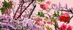 花素材