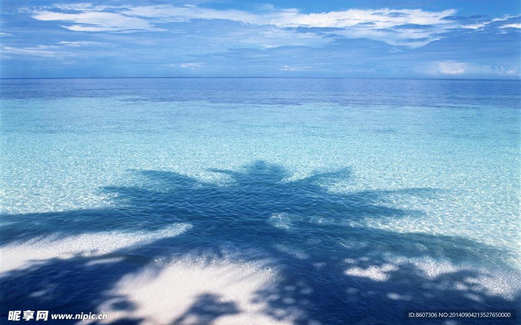 清澈的海水